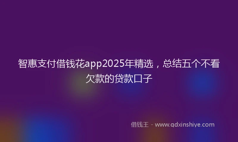 智惠支付借钱花app2025年精选，总结五个不看欠款的贷款口子