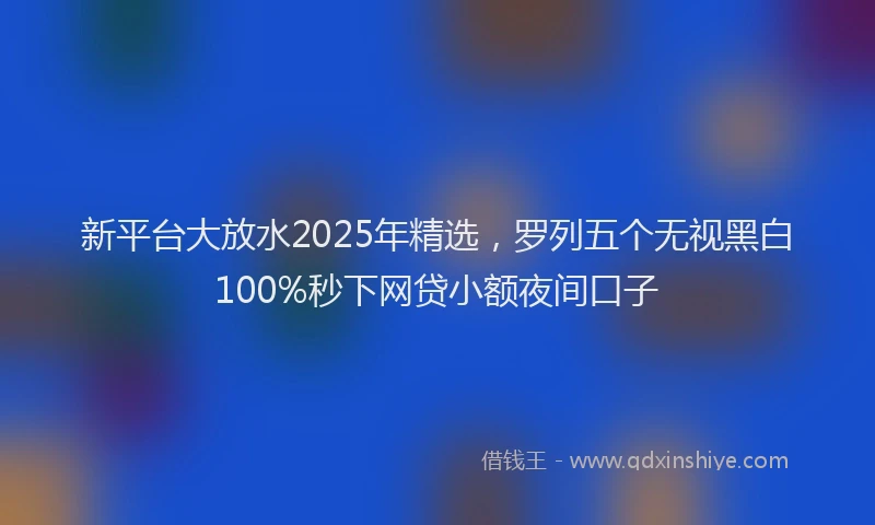 新平台大放水2025年精选，罗列五个无视黑白100%秒下网贷小额夜间口子
