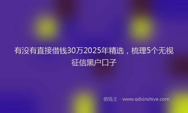 有没有直接借钱30万2025年精选，梳理5个无视征信黑户口子