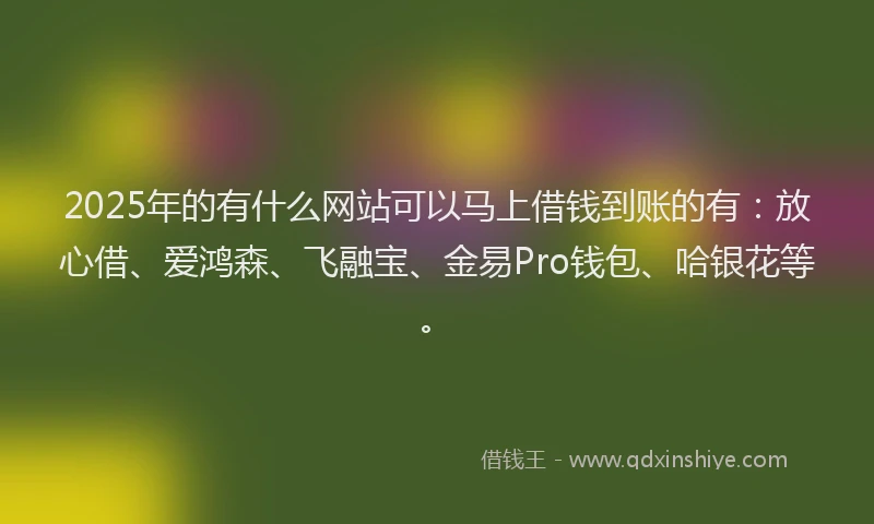 2025年的有什么网站可以马上借钱到账的有：放心借、爱鸿森、飞融宝、金易Pro钱包、哈银花等。