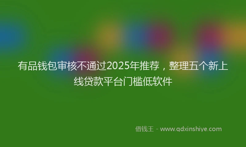 有品钱包审核不通过2025年推荐，整理五个新上线贷款平台门槛低软件