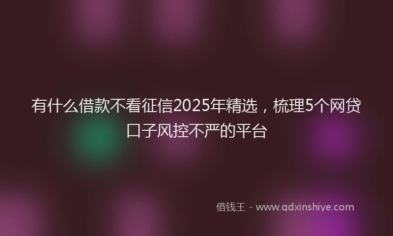有什么借款不看征信2025年精选，梳理5个网贷口子风控不严的平台