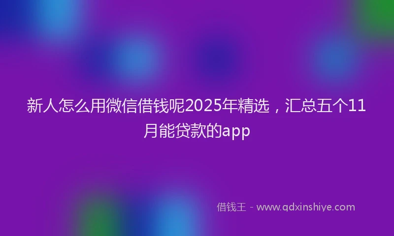 新人怎么用微信借钱呢2025年精选，汇总五个11月能贷款的app