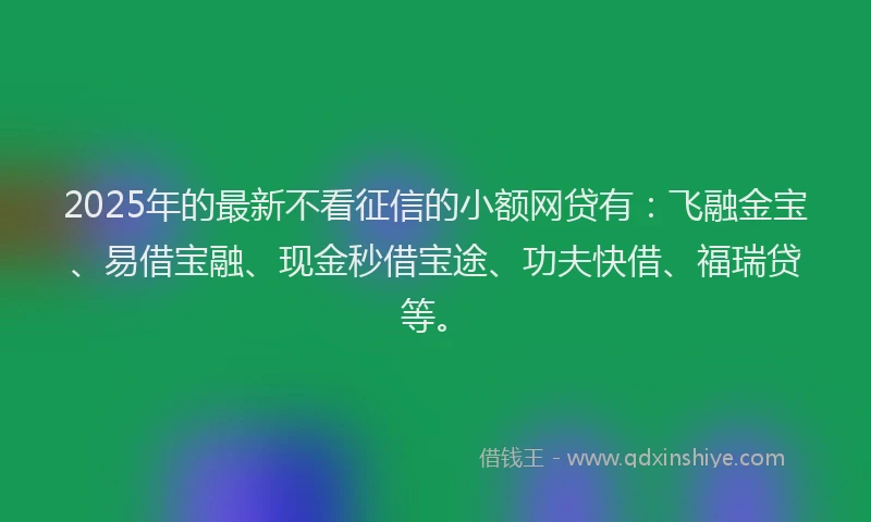 2025年的最新不看征信的小额网贷有：飞融金宝、易借宝融、现金秒借宝途、功夫快借、福瑞贷等。