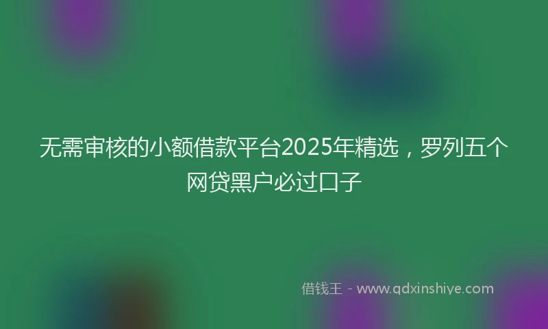 无需审核的小额借款平台2025年精选，罗列五个网贷黑户必过口子