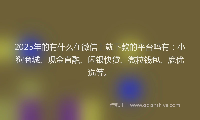 2025年的有什么在微信上就下款的平台吗有：小狗商城、现金直融、闪银快贷、微粒钱包、鹿优选等。