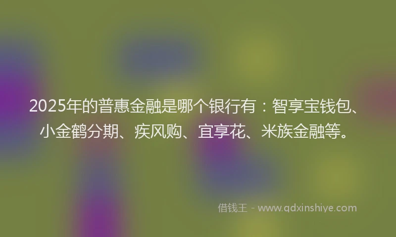 2025年的普惠金融是哪个银行有：智享宝钱包、小金鹤分期、疾风购、宜享花、米族金融等。