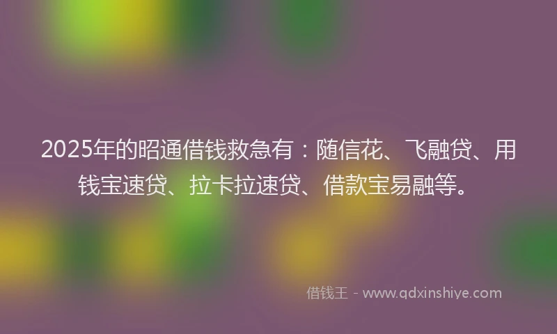 2025年的昭通借钱救急有：随信花、飞融贷、用钱宝速贷、拉卡拉速贷、借款宝易融等。