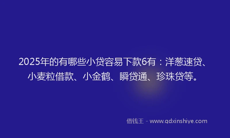 2025年的有哪些小贷容易下款6有：洋葱速贷、小麦粒借款、小金鹤、瞬贷通、珍珠贷等。