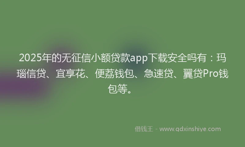 2025年的无征信小额贷款app下载安全吗有：玛瑙信贷、宜享花、便荔钱包、急速贷、翼贷Pro钱包等。
