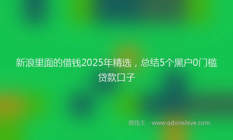 新浪里面的借钱2025年精选，总结5个黑户0门槛贷款口子
