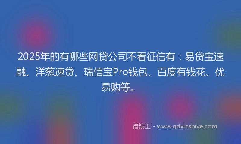2025年的有哪些网贷公司不看征信有：易贷宝速融、洋葱速贷、瑞信宝Pro钱包、百度有钱花、优易购等。