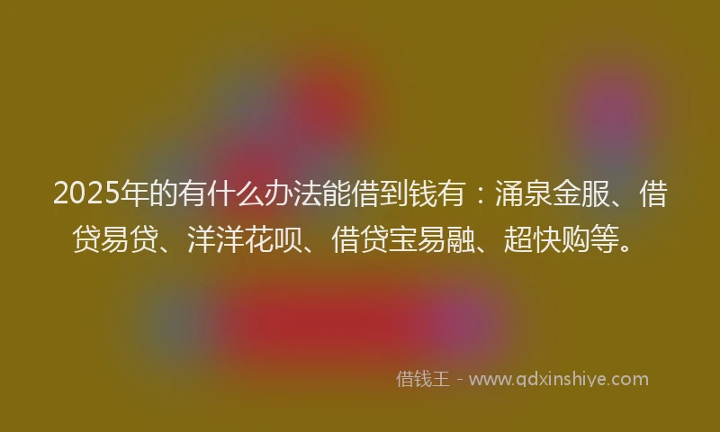 2025年的有什么办法能借到钱有：涌泉金服、借贷易贷、洋洋花呗、借贷宝易融、超快购等。