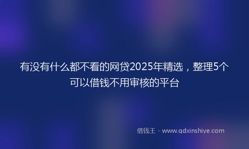 有没有什么都不看的网贷2025年精选，整理5个可以借钱不用审核的平台