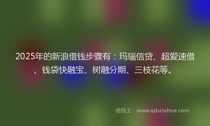 2025年的新浪借钱步骤有：玛瑙信贷、超爱速借、钱袋快融宝、树融分期、三枝花等。