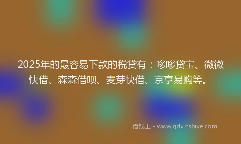 2025年的最容易下款的税贷有：哆哆贷宝、微微快借、森森借呗、麦芽快借、京享易购等。