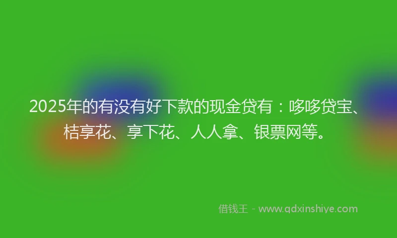 2025年的有没有好下款的现金贷有：哆哆贷宝、桔享花、享下花、人人拿、银票网等。