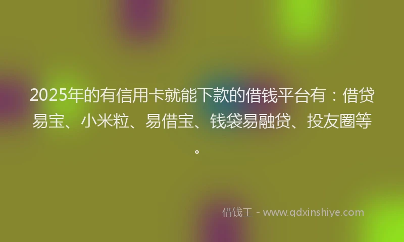 2025年的有信用卡就能下款的借钱平台有：借贷易宝、小米粒、易借宝、钱袋易融贷、投友圈等。