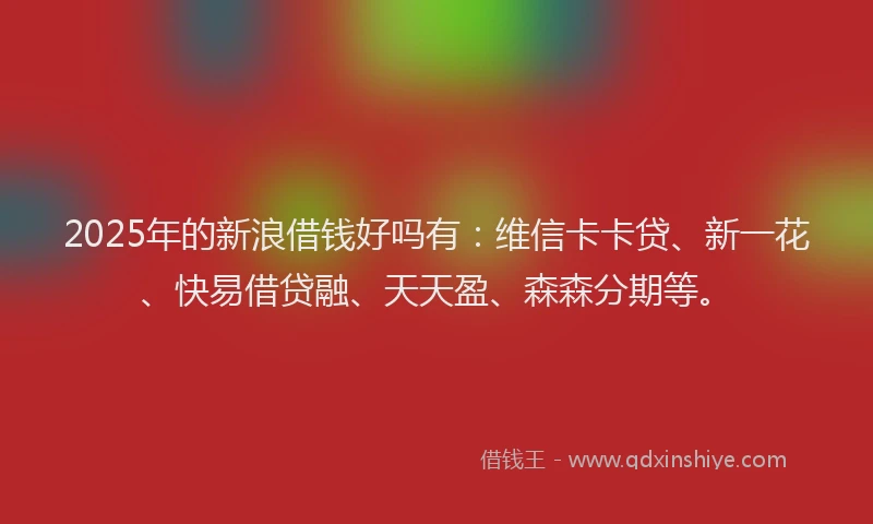 2025年的新浪借钱好吗有：维信卡卡贷、新一花、快易借贷融、天天盈、森森分期等。