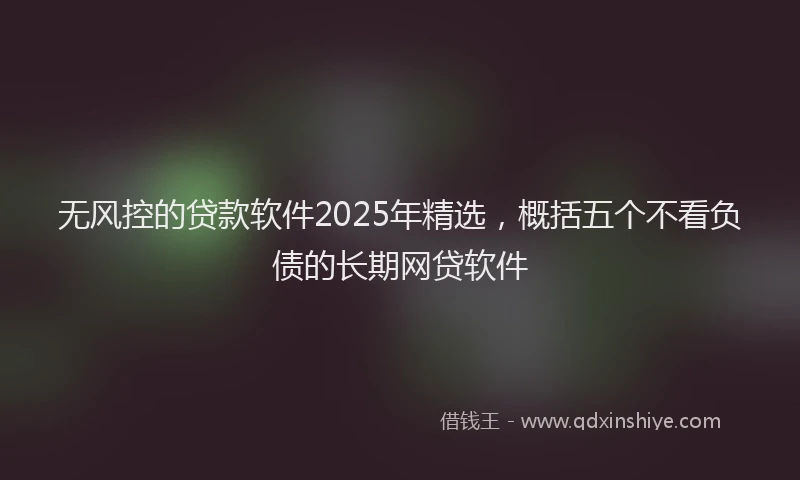 无风控的贷款软件2025年精选，概括五个不看负债的长期网贷软件