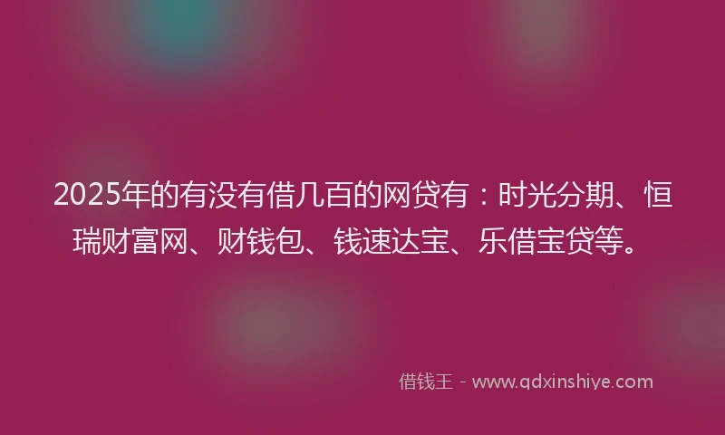 2025年的有没有借几百的网贷有：时光分期、恒瑞财富网、财钱包、钱速达宝、乐借宝贷等。