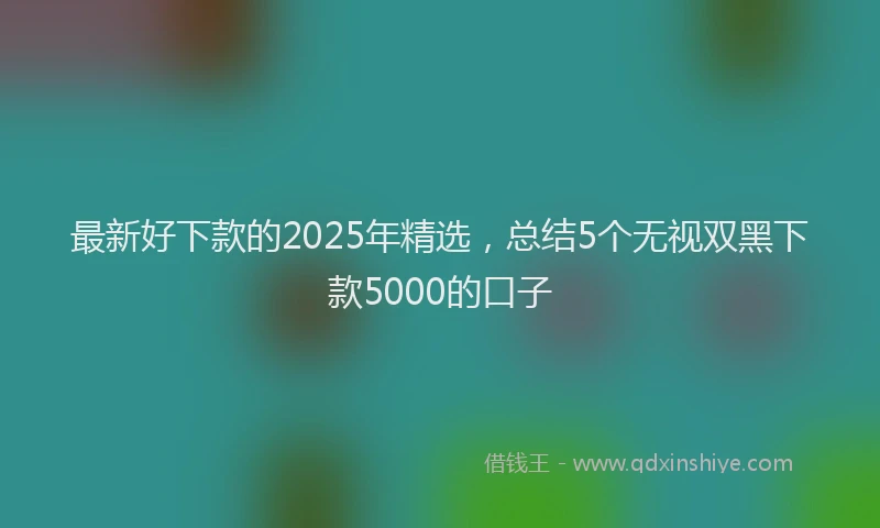最新好下款的2025年精选，总结5个无视双黑下款5000的口子