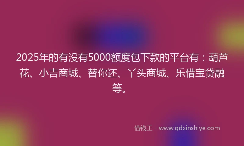 2025年的有没有5000额度包下款的平台有：葫芦花、小吉商城、替你还、丫头商城、乐借宝贷融等。