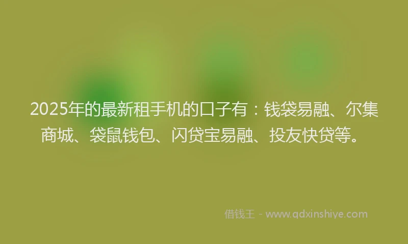 2025年的最新租手机的口子有：钱袋易融、尔集商城、袋鼠钱包、闪贷宝易融、投友快贷等。