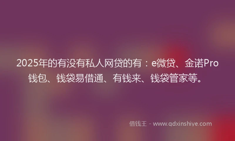 2025年的有没有私人网贷的有：e微贷、金诺Pro钱包、钱袋易借通、有钱来、钱袋管家等。