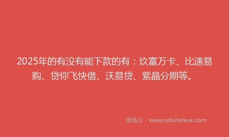 2025年的有没有能下款的有：玖富万卡、比速易购、贷你飞快借、沃易贷、紫晶分期等。
