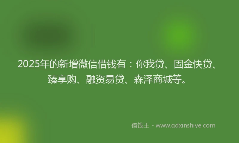 2025年的新增微信借钱有：你我贷、固金快贷、臻享购、融资易贷、森泽商城等。