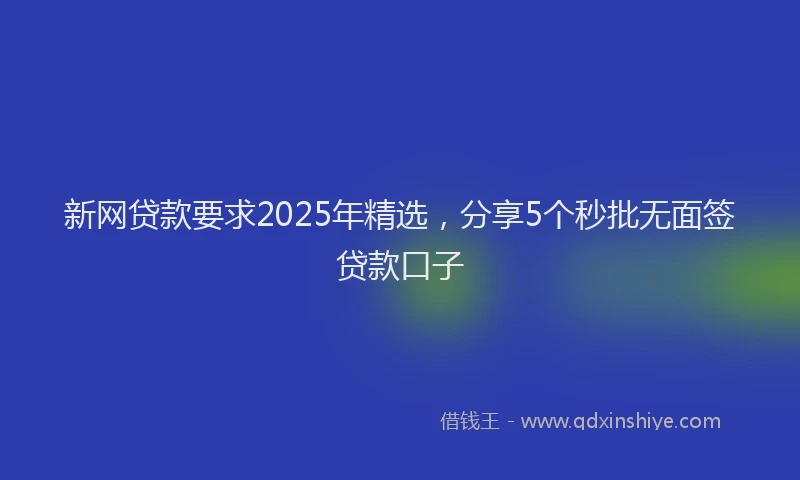 新网贷款要求2025年精选，分享5个秒批无面签贷款口子