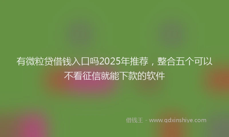 有微粒贷借钱入口吗2025年推荐，整合五个可以不看征信就能下款的软件