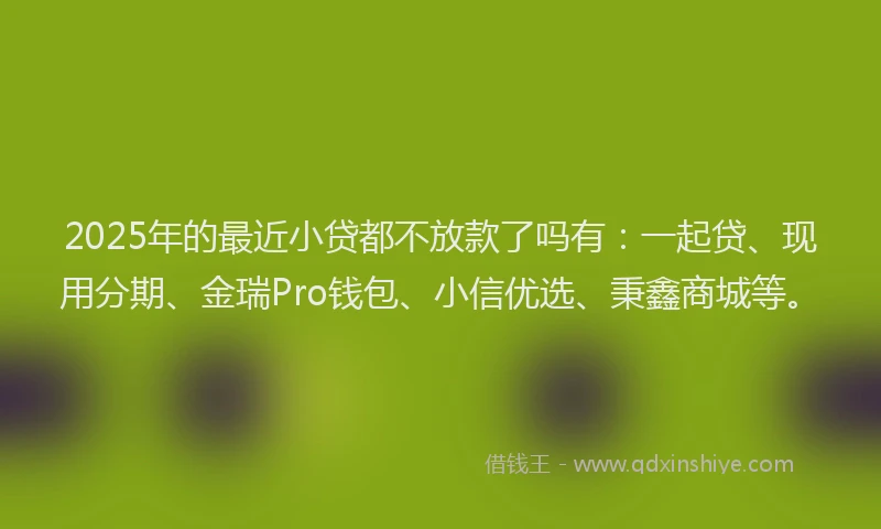 2025年的最近小贷都不放款了吗有：一起贷、现用分期、金瑞Pro钱包、小信优选、秉鑫商城等。