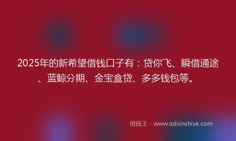2025年的新希望借钱口子有：贷你飞、瞬借通途、蓝鲸分期、金宝盒贷、多多钱包等。