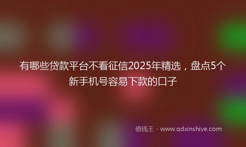 有哪些贷款平台不看征信2025年精选，盘点5个新手机号容易下款的口子