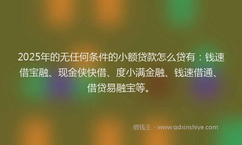 2025年的无任何条件的小额贷款怎么贷有：钱速借宝融、现金侠快借、度小满金融、钱速借通、借贷易融宝等。