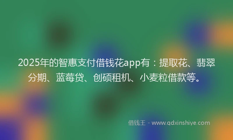 2025年的智惠支付借钱花app有：提取花、翡翠分期、蓝莓贷、创硕租机、小麦粒借款等。