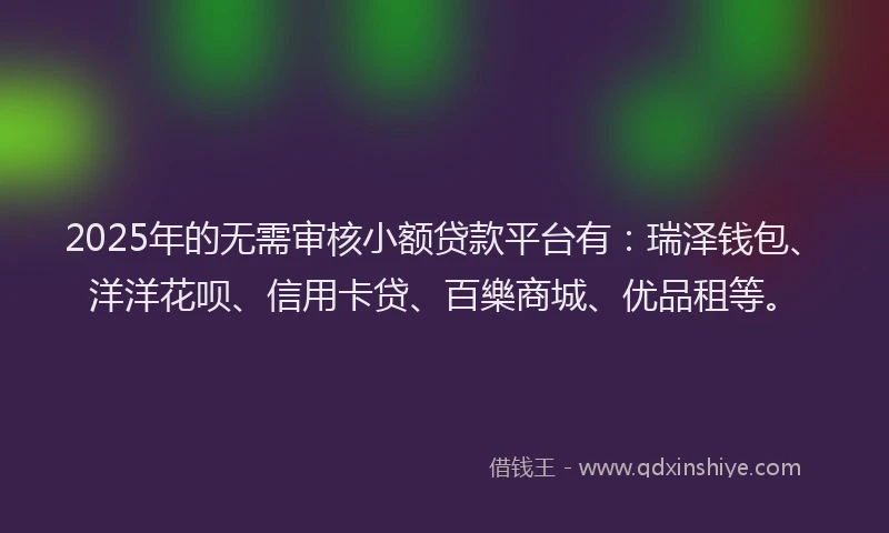 2025年的无需审核小额贷款平台有：瑞泽钱包、洋洋花呗、信用卡贷、百樂商城、优品租等。