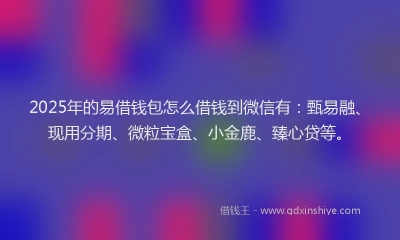 2025年的易借钱包怎么借钱到微信有：甄易融、现用分期、微粒宝盒、小金鹿、臻心贷等。