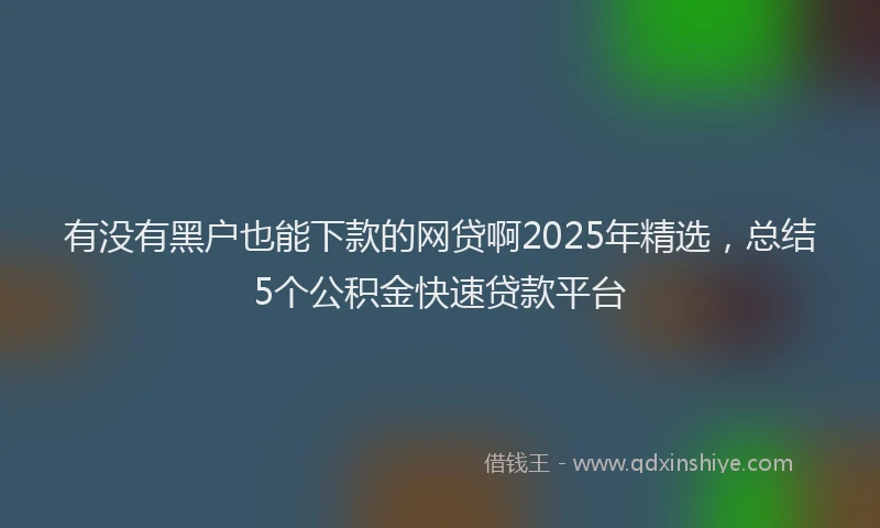 有没有黑户也能下款的网贷啊2025年精选，总结5个公积金快速贷款平台