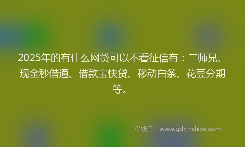 2025年的有什么网贷可以不看征信有：二师兄、现金秒借通、借款宝快贷、移动白条、花豆分期等。