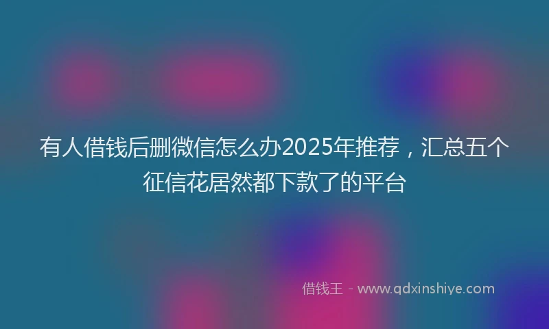 有人借钱后删微信怎么办2025年推荐，汇总五个征信花居然都下款了的平台