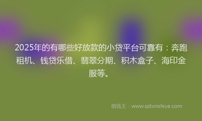 2025年的有哪些好放款的小贷平台可靠有：奔跑租机、钱贷乐借、翡翠分期、积木盒子、海印金服等。