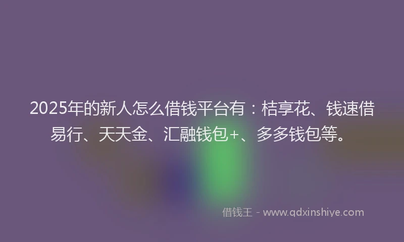 2025年的新人怎么借钱平台有：桔享花、钱速借易行、天天金、汇融钱包+、多多钱包等。