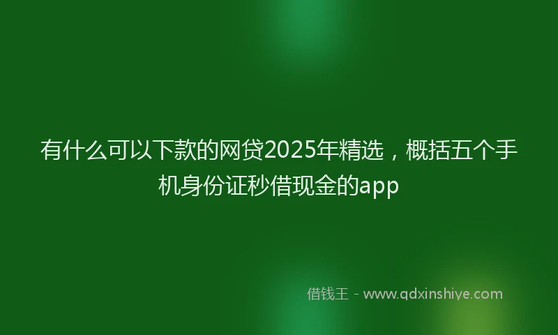 有什么可以下款的网贷2025年精选，概括五个手机身份证秒借现金的app
