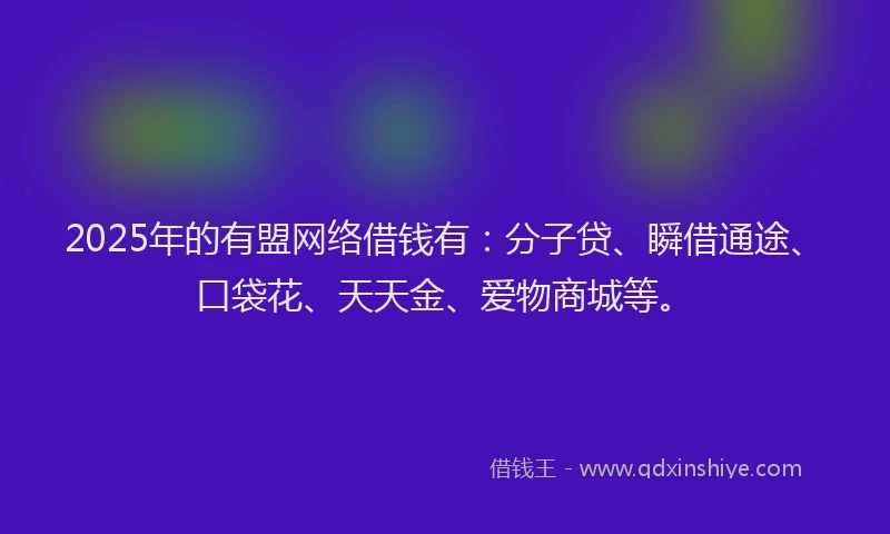 2025年的有盟网络借钱有：分子贷、瞬借通途、口袋花、天天金、爱物商城等。