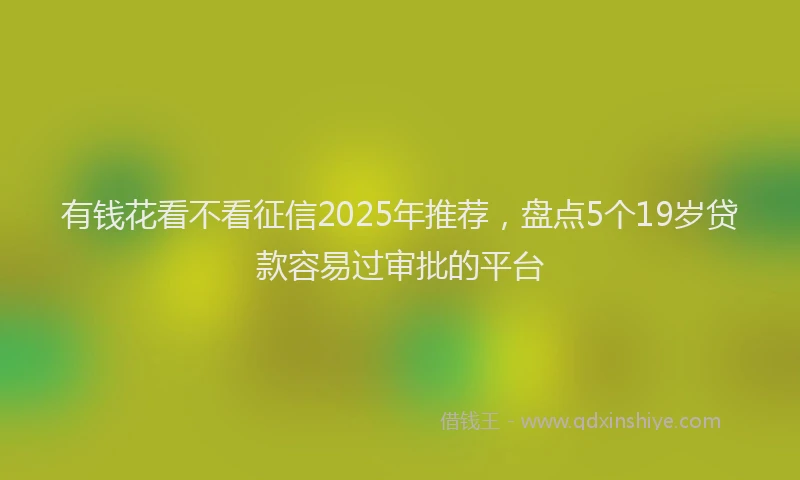 有钱花看不看征信2025年推荐，盘点5个19岁贷款容易过审批的平台