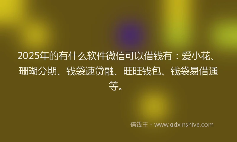 2025年的有什么软件微信可以借钱有：爱小花、珊瑚分期、钱袋速贷融、旺旺钱包、钱袋易借通等。