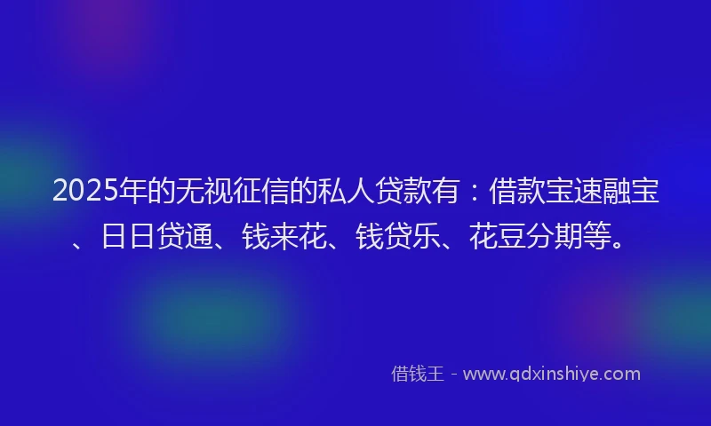 2025年的无视征信的私人贷款有：借款宝速融宝、日日贷通、钱来花、钱贷乐、花豆分期等。
